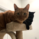 Image for article titled Open Channel: Show Us Your Pets, Nerds